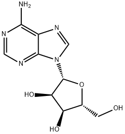 Adenozin