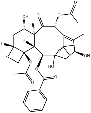 Bakatin III