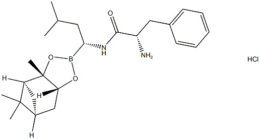 Bortezomib ara ürünleri II