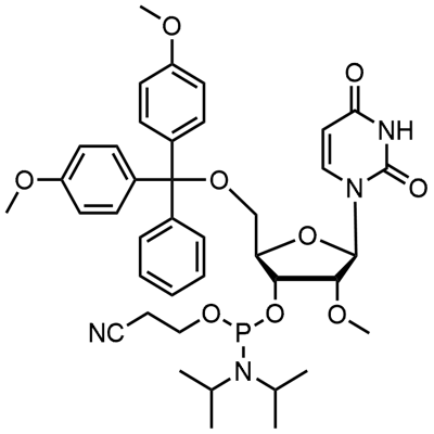 DMT-2'O-Metil-rU Fosforamidit