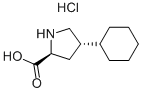 trans-4-Sikloheksil-L-prolin hidroklorür